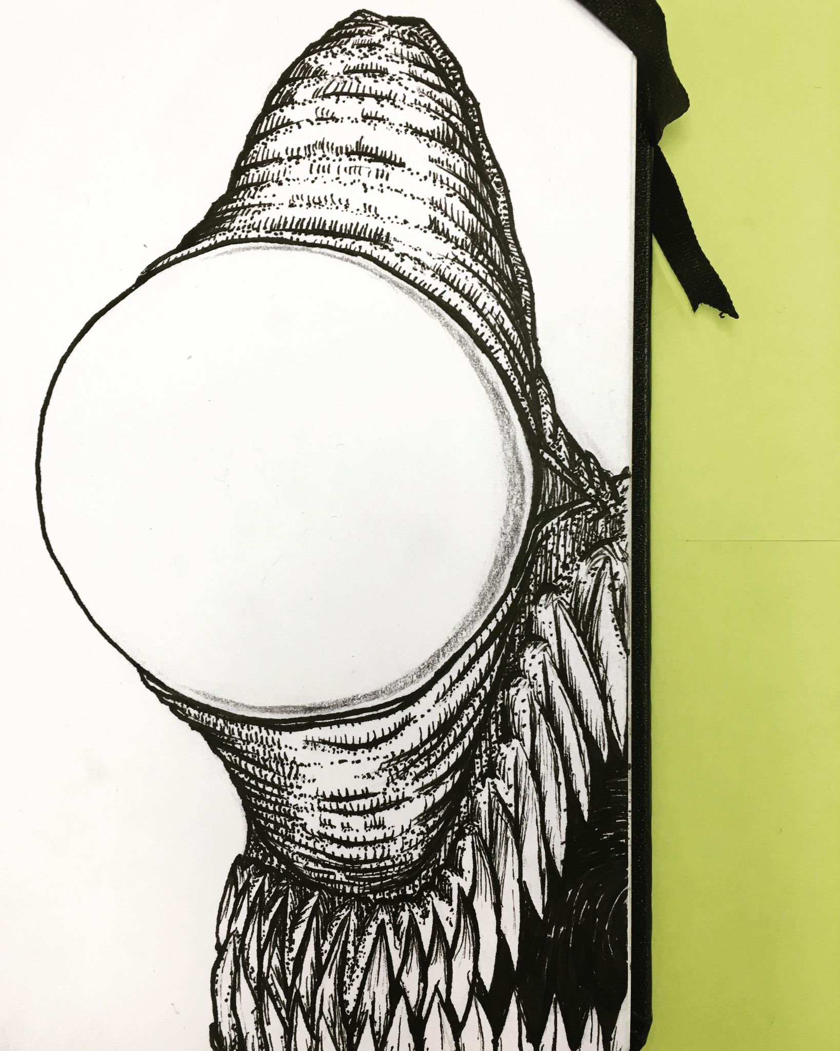 421621248_1668836946977811_2116504231355018324_n