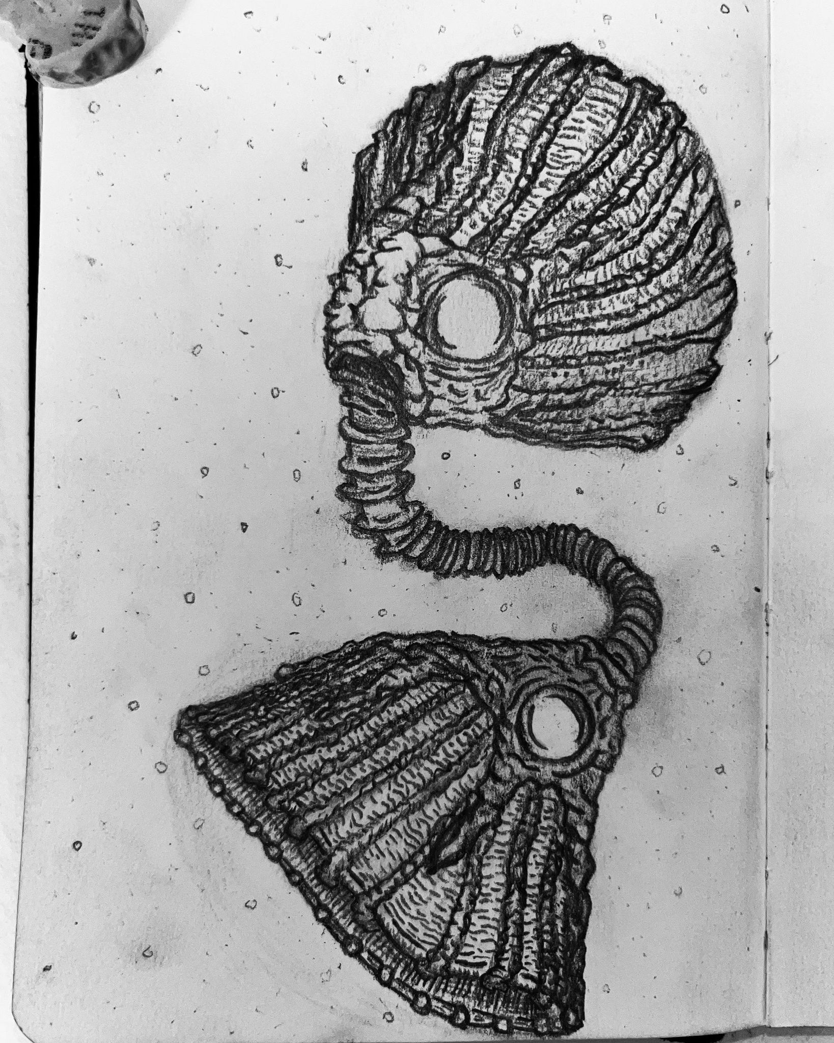 421631277_2766418823515386_5170494957619033596_n