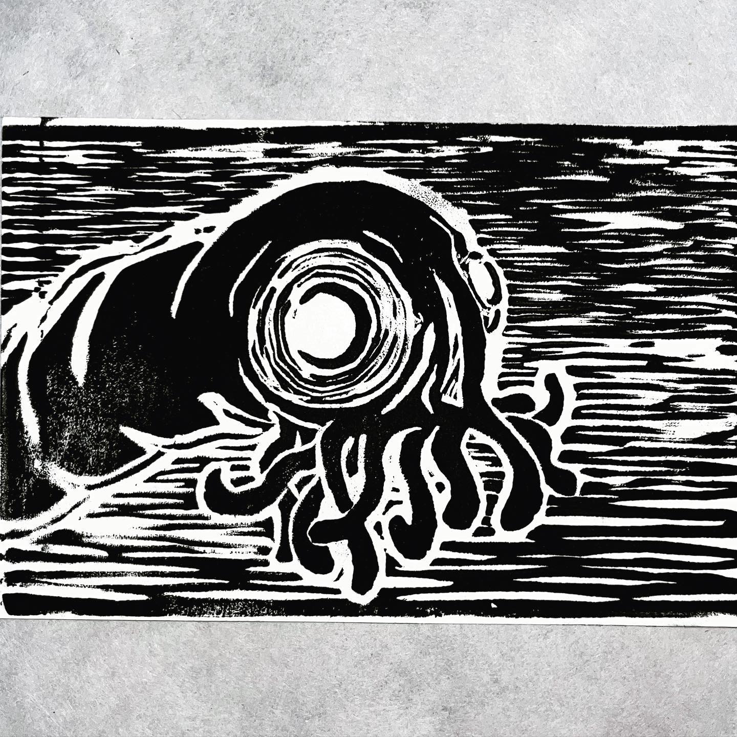 421995660_301940026234647_9071998455608170795_n