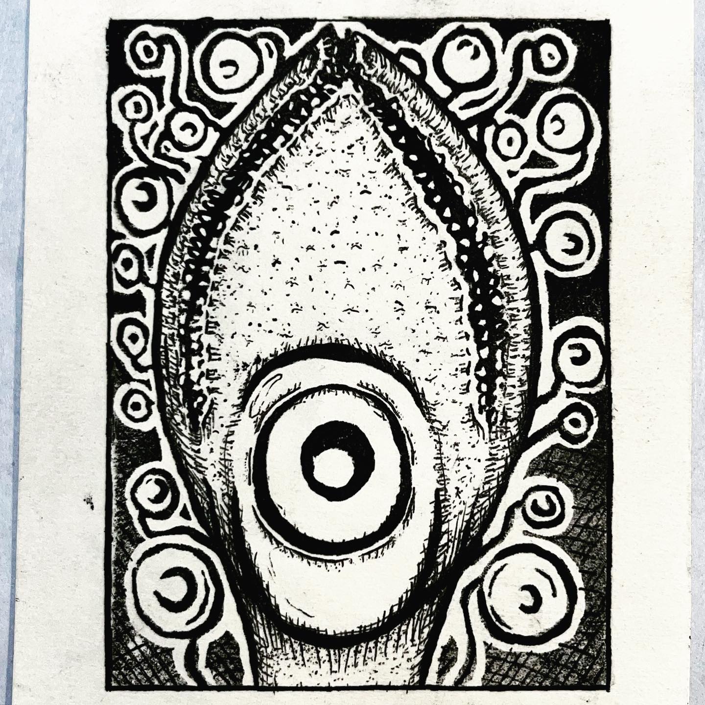 426886986_1097029511563897_2324333964167575828_n