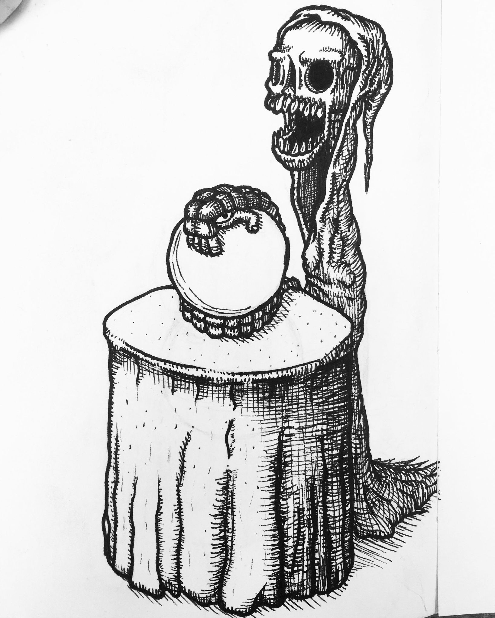 427976103_367291789557400_7108536372546297269_n