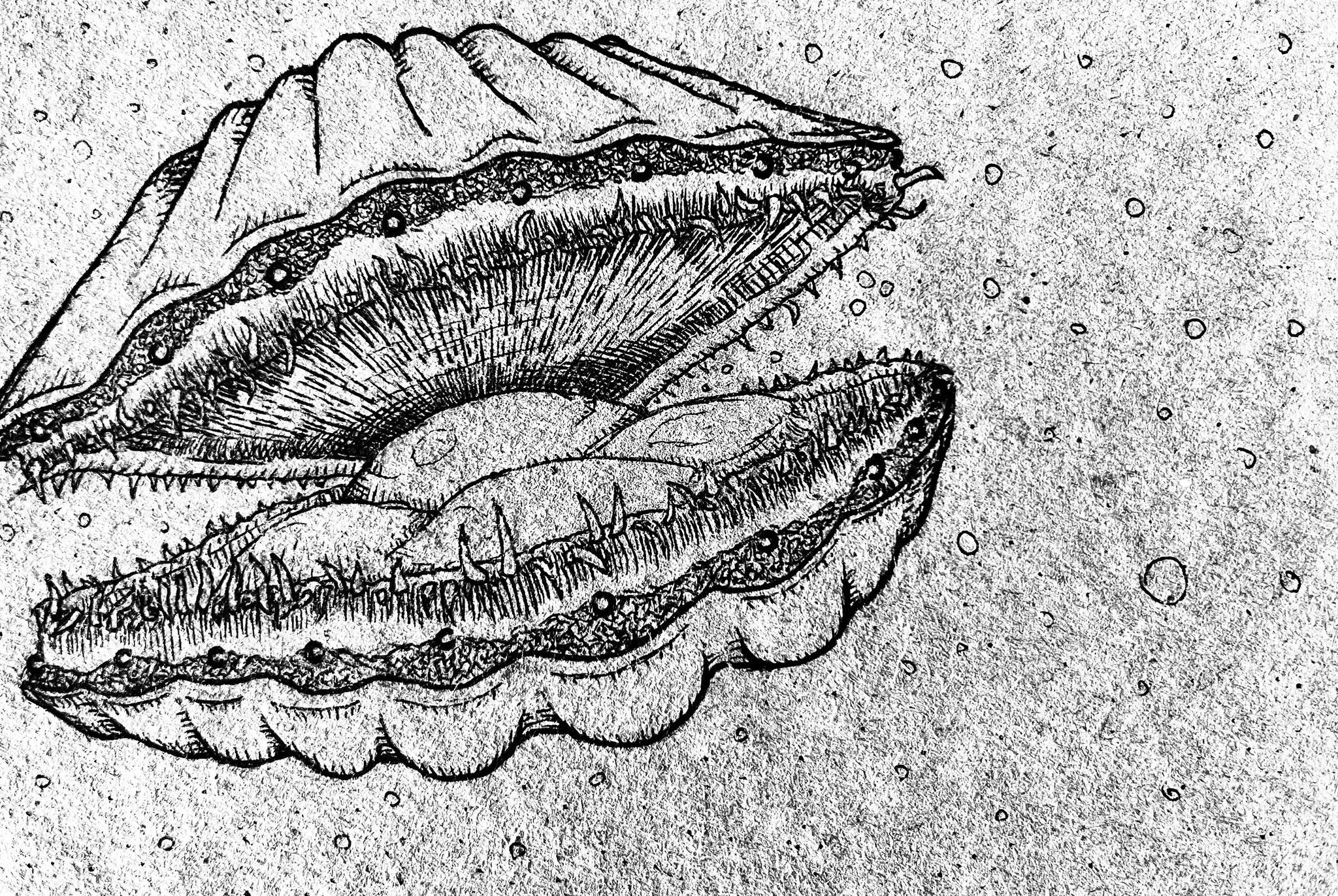 428057977_3641289246191029_3539007480886105604_n