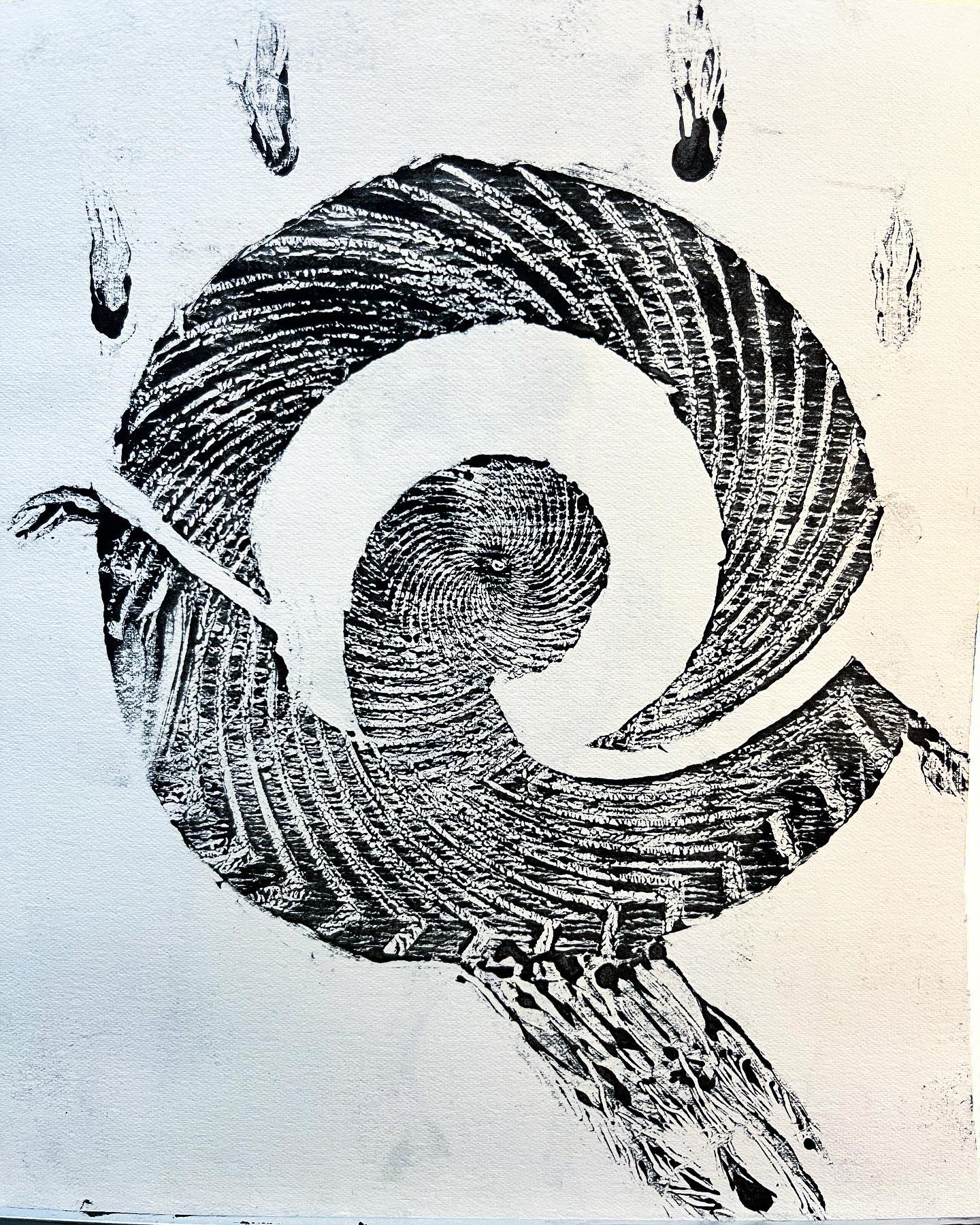 428122556_5514516402005834_1967851384736183530_n